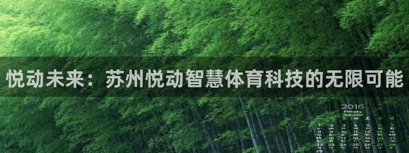 悦动未来：苏州悦动智慧体育科技的无限可能