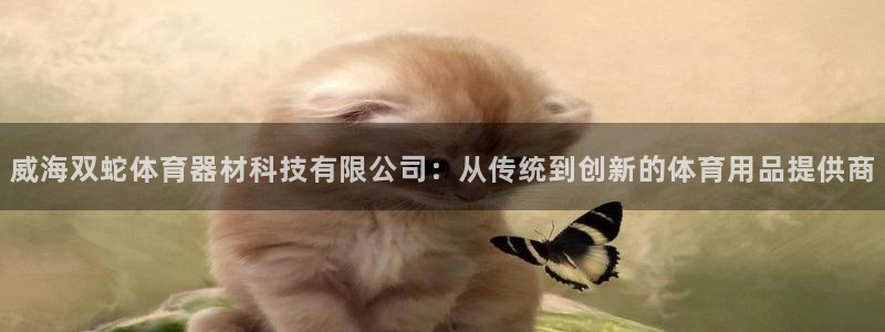 威海双蛇体育器材科技有限公司：从传统到创新的体育用品提供商