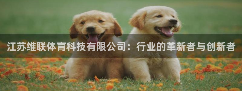 江苏维联体育科技有限公司：行业的革新者与创新者
