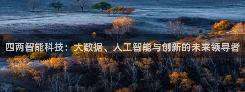 四两智能科技：大数据、人工智能与创新的未来领导者
