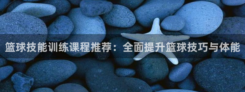 篮球技能训练课程推荐：全面提升篮球技巧与体能