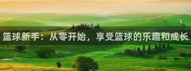 篮球新手：从零开始，享受篮球的乐趣和成长