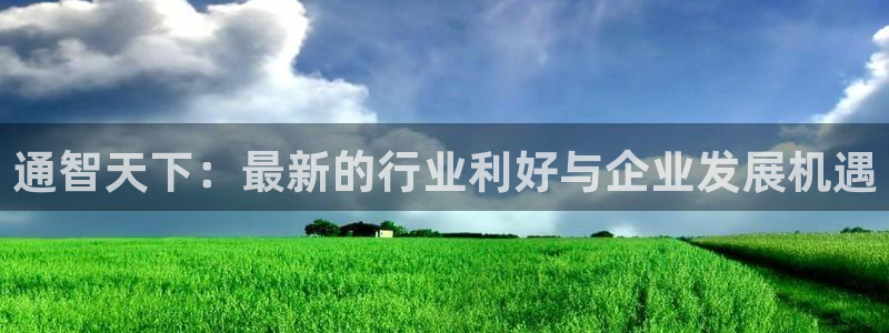 通智天下：最新的行业利好与企业发展机遇