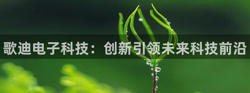 歌迪电子科技：创新引领未来科技前沿