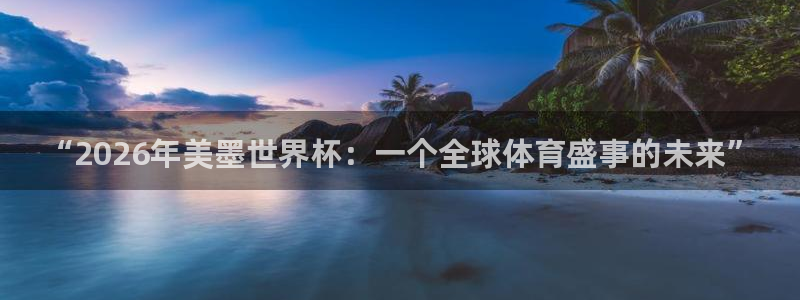“2026年美墨世界杯：一个全球体育盛事的未来”