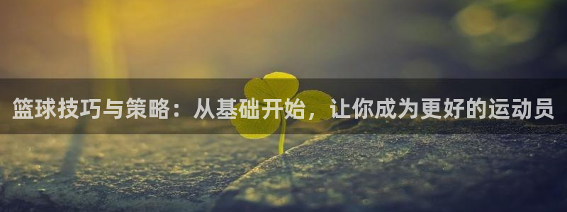 篮球技巧与策略：从基础开始，让你成为更好的运动员