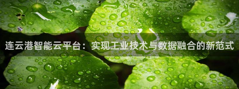 连云港智能云平台：实现工业技术与数据融合的新范式