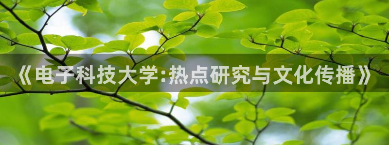 《电子科技大学:热点研究与文化传播》