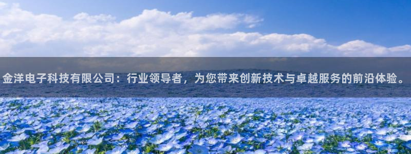 金洋电子科技有限公司：行业领导者，为您带来创新技术与卓越服务的前沿体验。