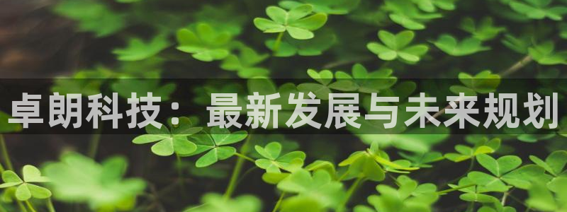 卓朗科技：最新发展与未来规划