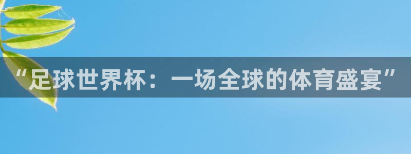 “足球世界杯：一场全球的体育盛宴”