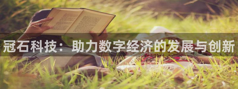 冠石科技：助力数字经济的发展与创新