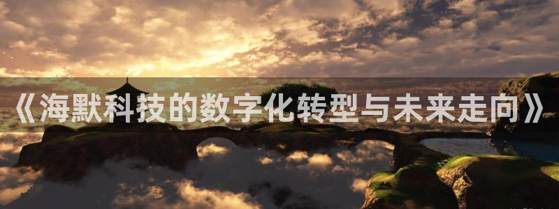《海默科技的数字化转型与未来走向》