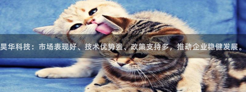 昊华科技：市场表现好、技术优势强、政策支持多，推动企业稳健发展。