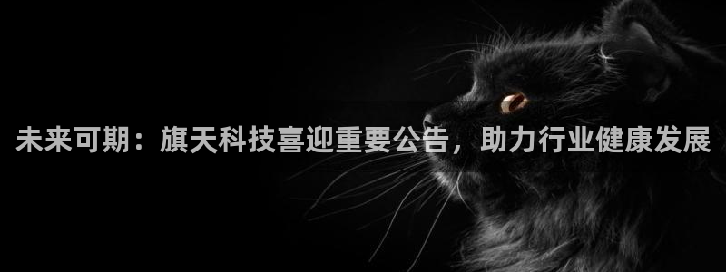 未来可期：旗天科技喜迎重要公告，助力行业健康发展