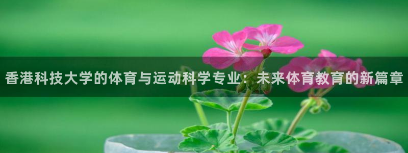 香港科技大学的体育与运动科学专业：未来体育教育的新篇章