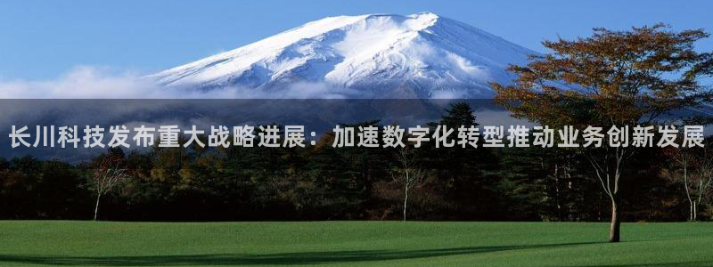 长川科技发布重大战略进展：加速数字化转型推动业务创新发展