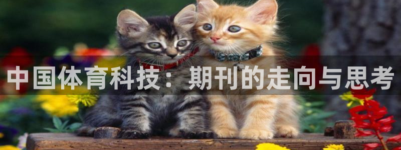 中国体育科技：期刊的走向与思考