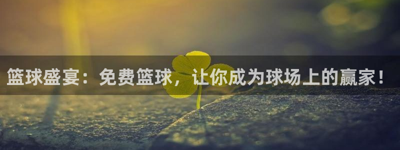 篮球盛宴：免费篮球，让你成为球场上的赢家！