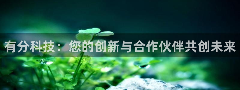 有分科技：您的创新与合作伙伴共创未来
