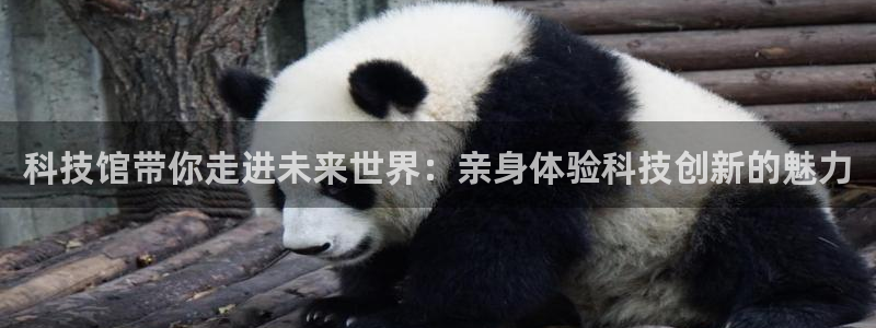 科技馆带你走进未来世界：亲身体验科技创新的魅力