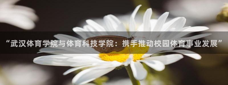 “武汉体育学院与体育科技学院：携手推动校园体育事业发展”